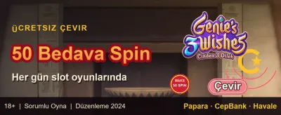 🏆 VIP Haftalık Kayıp İadesi promotion