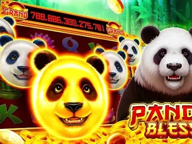 Live casino gaming interface